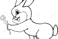 hasenbilder hasenbilder