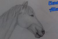 pferde zum abzeichnen