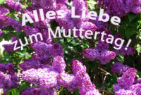 muttertag bilder kostenlos herunterladen