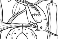 ausmalbilder vögel kostenlos ausmalbilder vögel kostenlos