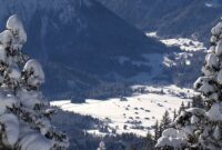 kostenlose bilder winter