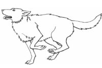 wolf malvorlage wolf malvorlage