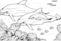 delphin ausmalen