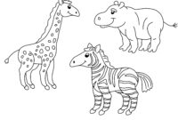 ausmalbilder zootiere zum ausdrucken ausmalbilder zootiere zum ausdrucken