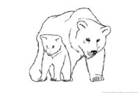 tierbilder zum nachmalen tierbilder zum nachmalen