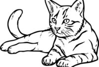 katzen malen vorlagen