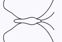 schmetterling druckvorlage