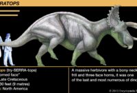 triceratops bild triceratops bild