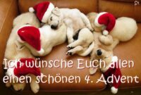 lustige bilder zum 4 advent lustige bilder zum 4 advent