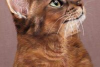 katze bild malen katze bild malen