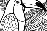 papagei ausmalbild papagei ausmalbild