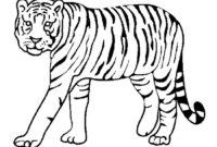 tiger vorlage tiger vorlage