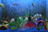 aquarium hintergrundbilder kostenlos aquarium hintergrundbilder kostenlos