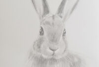 hasen zeichnen einfach hasen zeichnen einfach