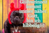 bilder lustig weihnachtszeit bilder lustig weihnachtszeit