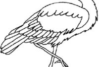 ausmalbilder störche ausmalbilder störche