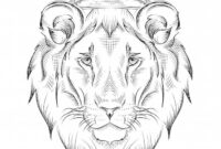 löwe zeichnung löwe zeichnung