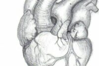 herz zeichnung herz zeichnung