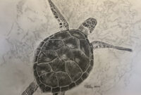 schildkröte zeichnungen schildkröte zeichnungen