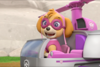 paw patrol skye bilder paw patrol skye bilder
