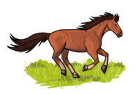 einfach pferde zeichnen einfach pferde zeichnen