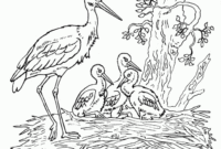 störche zum ausmalen störche zum ausmalen