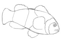 fisch malen leicht fisch malen leicht