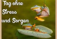 schönen tag wünsche bilder schönen tag wünsche bilder