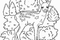 ausmalbilder reh ausmalbilder reh