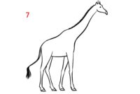 giraffen malen giraffen malen