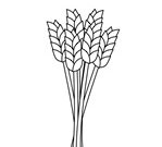 getreide bilder zum ausdrucken getreide bilder zum ausdrucken