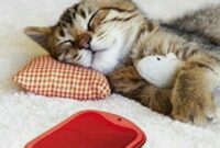 gute besserung bild kostenlos