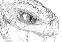 schlangenkopf zeichnung