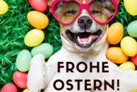 ostern video lustig kostenlos