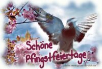 pfingstbilder lustig kostenlos