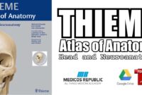 thieme atlas of anatomy head and neuroanatomy thieme atlas of anatomy head and neuroanatomy