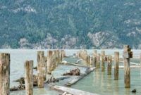 origine de bella hadid origine de bella hadid