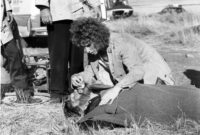 a star is born original 1976 a star is born original 1976