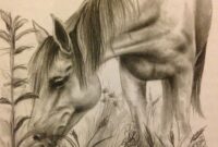 pferde zeichnungen pferde zeichnungen