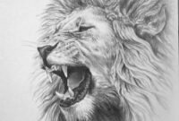löwe zeichnung