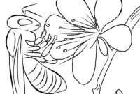 biene ausmalbild biene ausmalbild