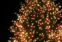 weihnachtsbaum bilder kostenlos weihnachtsbaum bilder kostenlos