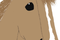 hobby horse ausmalbilder hobby horse ausmalbilder