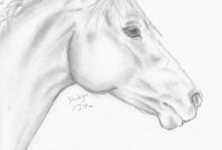 pferdeköpfe zeichnen