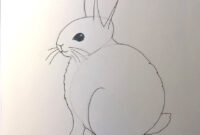 hase zeichnen leicht hase zeichnen leicht