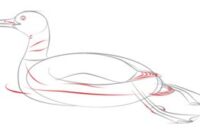 ente einfach zeichnen