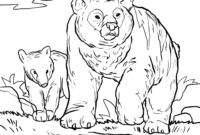 bär vorlage zum ausdrucken bär vorlage zum ausdrucken