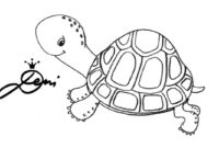 schildkröte zeichnen vorlage