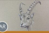 tiere nachzeichnen tiere nachzeichnen