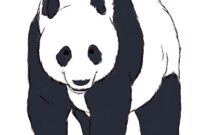 pandabär zeichnung